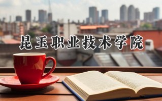 2024昆玉职业技术学院录取分数线：山西最低190分