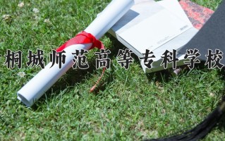 2025年桐城师范高等专科学校在河南计划招生人数（附学费及专业录取分)