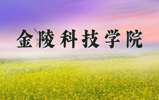 2025年金陵科技学院在四川计划招生人数（附学费及专业录取分)