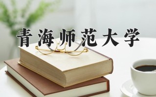 2025年青海师范大学在河南计划招生人数（附学费及专业录取分)