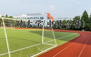 2025年三峡大学(中外合作)在重庆计划招生人数（附学费及专业录取分)