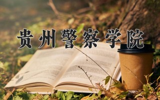 2025年贵州警察学院在四川计划招生人数（附学费及专业录取分)