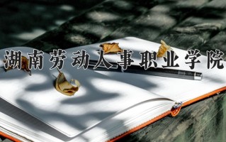 2025年湖南劳动人事职业学院在河南计划招生人数（附学费及专业录取分)