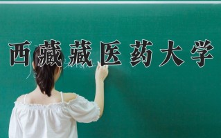 2025年西藏藏医药大学在河南计划招生人数（附学费及专业录取分)