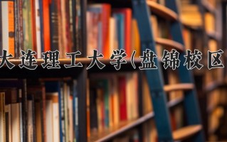 2025年大连理工大学(盘锦校区)在四川计划招生人数（附学费及专业录取分)