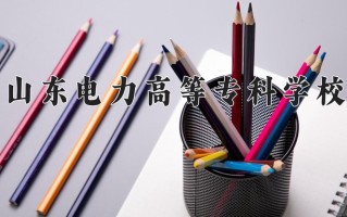2025年山东电力高等专科学校在新疆计划招生人数（附学费及专业录取分)