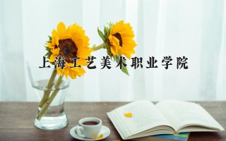 2024年上海工艺美术职业学院录取分数线，河北最低428分