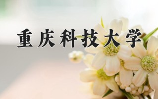 2025年重庆科技大学在新疆计划招生人数（附学费及专业录取分)
