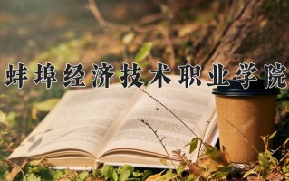 2025年蚌埠经济技术职业学院在四川计划招生人数（附学费及专业录取分)