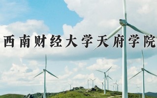 2025年西南财经大学天府学院在新疆计划招生人数（附学费及专业录取分)