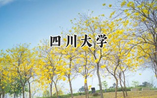 四川大学2024在青海录取分数线是多少？最低482分/最高575分