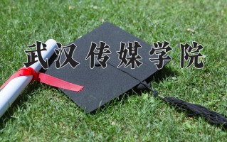 2025年武汉传媒学院在河南计划招生人数（附学费及专业录取分)