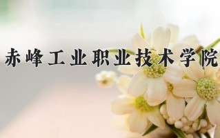 2025年赤峰工业职业技术学院在新疆计划招生人数（附学费及专业录取分)