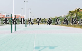 2025年河北农业大学(秦皇岛校区)在河北计划招生人数（附学费及专业录取分)