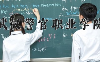 2025年武汉警官职业学院在河南计划招生人数（附学费及专业录取分)