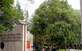 2024年重庆青年职业技术学院录取分数线，河北最低424分