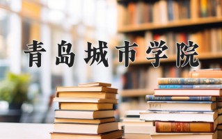 2025年青岛城市学院在河南计划招生人数（附学费及专业录取分)