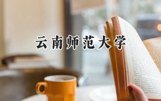 2024云南师范大学录取分数线：河南最低425分