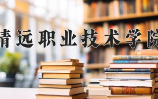 2025年清远职业技术学院在河南计划招生人数（附学费及专业录取分)
