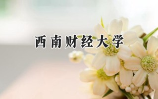 西南财经大学2024在新疆录取分数线是多少？最低506分/最高558分
