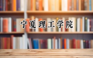 2024宁夏理工学院录取分数线：陕西最低413分