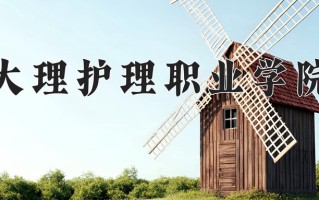 2025年大理护理职业学院在四川计划招生人数（附学费及专业录取分)