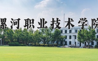 2025年漯河职业技术学院在河南计划招生人数（附学费及专业录取分)