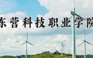 2025年东营科技职业学院在四川计划招生人数（附学费及专业录取分)