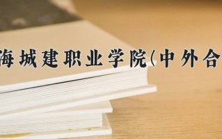 2025年上海城建职业学院(中外合作)在重庆计划招生人数（附学费及专业录取分)