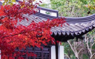 2025年河南交通职业技术学院在广东计划招生人数（含各专业收费标准）