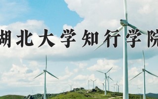 2025年湖北大学知行学院在新疆计划招生人数（附学费及专业录取分)