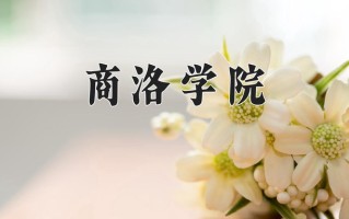 2025年商洛学院在新疆计划招生人数（附学费及专业录取分)