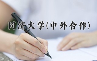 2025年同济大学(中外合作)在河北计划招生人数（附学费及专业录取分)