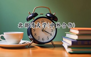 2024北部湾大学(中外合作)录取分数线：陕西最低439分