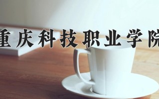 2025年重庆科技职业学院在四川计划招生人数（附学费及专业录取分)