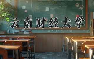 2025年云南财经大学在新疆计划招生人数（附学费及专业录取分)