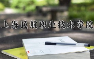 2025年上海民航职业技术学院在河南计划招生人数（附学费及专业录取分)
