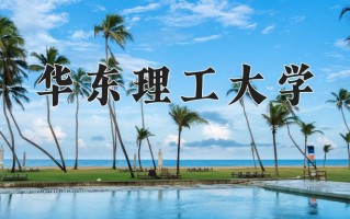 2025年华东理工大学在四川计划招生人数（附学费及专业录取分)