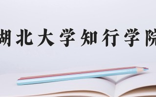2025年湖北大学知行学院在四川计划招生人数（附学费及专业录取分)