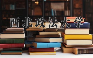 2025年西北政法大学在四川计划招生人数（附学费及专业录取分)