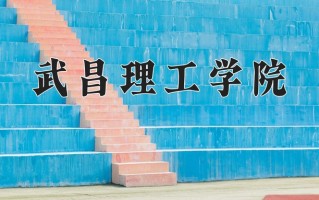 武昌理工学院王牌专业有哪些？附2025最新王牌专业排名一览表