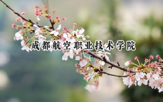 2024成都航空职业技术学院录取分数线：江苏最低445分
