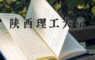 2025年陕西理工大学在四川计划招生人数（附学费及专业录取分)