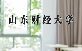 2025年山东财经大学在四川计划招生人数（附学费及专业录取分)