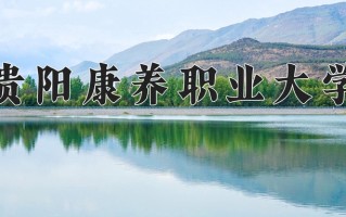 2025年贵阳康养职业大学在河南计划招生人数（附学费及专业录取分)
