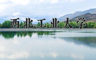 2025年西北工业大学在新疆计划招生人数（附学费及专业录取分)