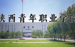 2025年陕西青年职业学院在四川计划招生人数（附学费及专业录取分)