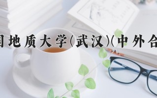 2025年中国地质大学(武汉)(中外合作)在四川计划招生人数（附学费及专业录取分)