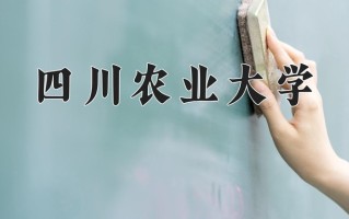 2025年四川农业大学在四川计划招生人数（附学费及专业录取分)