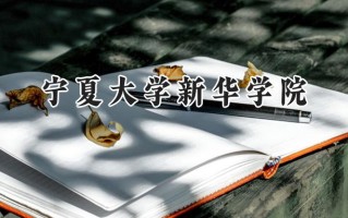 2024宁夏大学新华学院录取分数线：陕西最低373分